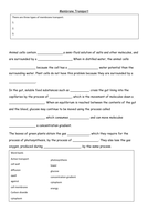 Active transport worksheets by KatieBall - Teaching Resources - Tes