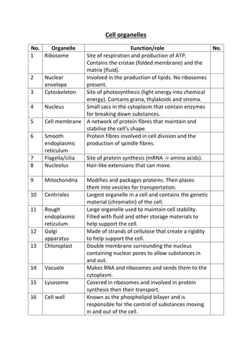 Matching organelles and their functions | Teaching Resources