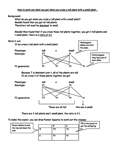 B13.7 - Inheritance in Action ** FULL LESSON ** AQA GCSE Biology ...
