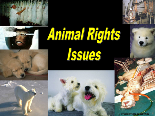 Animal Rights | Teaching Resources