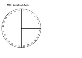 Menstrual Cycle | Teaching Resources