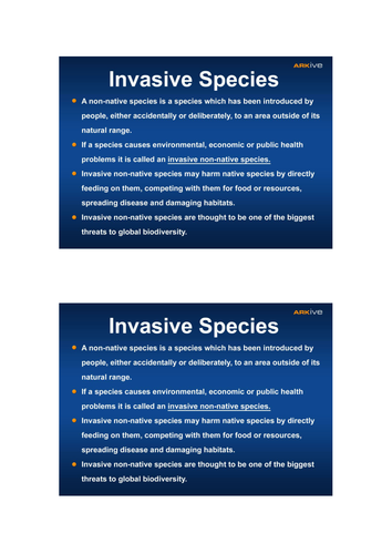 synthesis essay invasive species