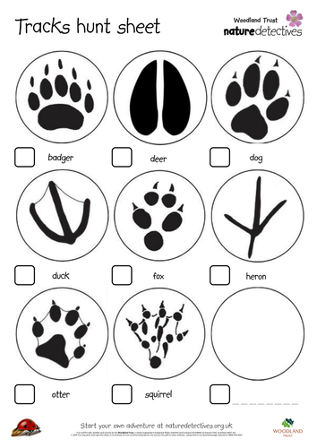 Animal Footprints | Teaching Resources