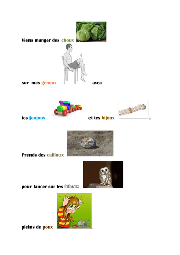 French irregular plural : words ending with-oux | Teaching Resources