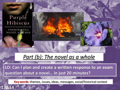 purple hibiscus essay questions gcse