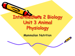 Animal physiology - mammalian nutrition by AllanGee26 | Teaching Resources