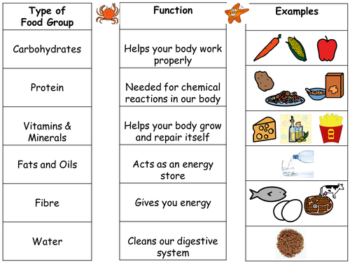 Printables Food Group Worksheets intro to food groups and differentiated worksheets by seasquirt teaching resources tes