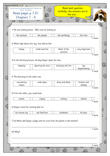 Year 4 reading comprehension, optional tests | Teaching Resources