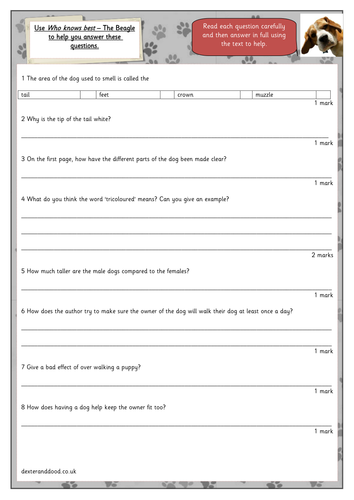 year 4 reading comprehension optional tests teaching resources