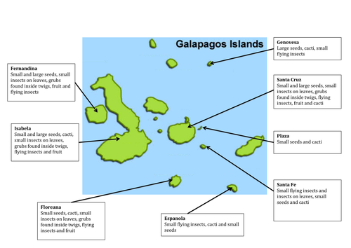 Darwins Finches | Teaching Resources
