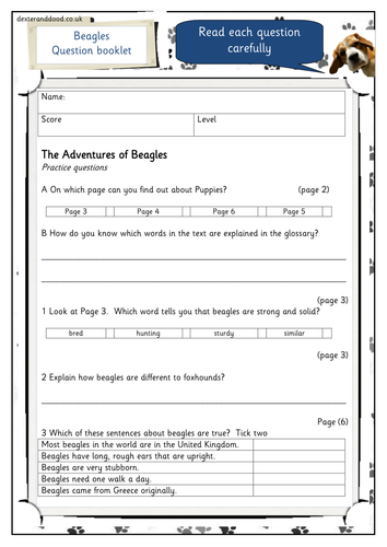 year 2 reading comprehension level 3 test teaching resources