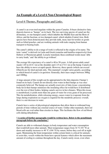 What is chronological report example image