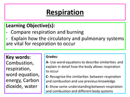 Respiration | Teaching Resources