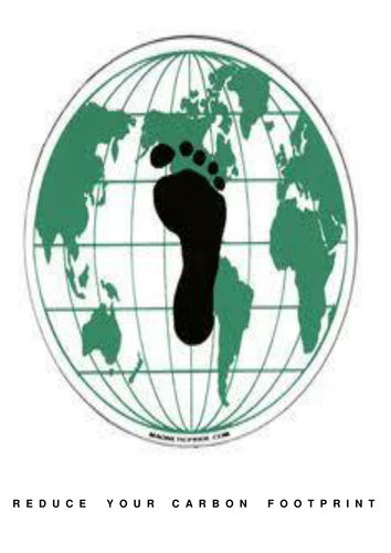 buy Evolutionary Foundations buy Evolutionary Foundations