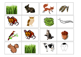 Food chains games by hannahmcintosh - Teaching Resources - Tes