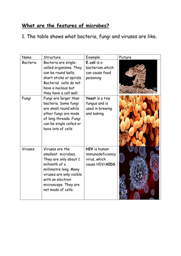 Under the Microscope and Worksheet Lesson 1 | Teaching Resources