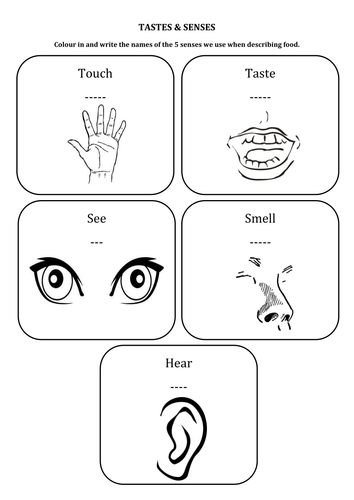 Tastes and Senses by amcglasson - Teaching Resources - TES