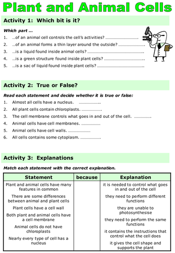 KS3 Revision - Animal, Plant & Specialised Cells by ...