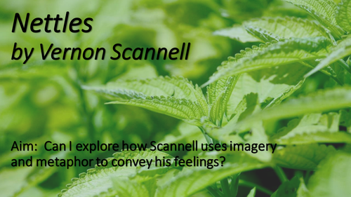 Nettles by Scannell (Revision or 1st look) | Teaching Resources
