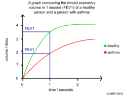 Calculate Expiratory Reserve Volume