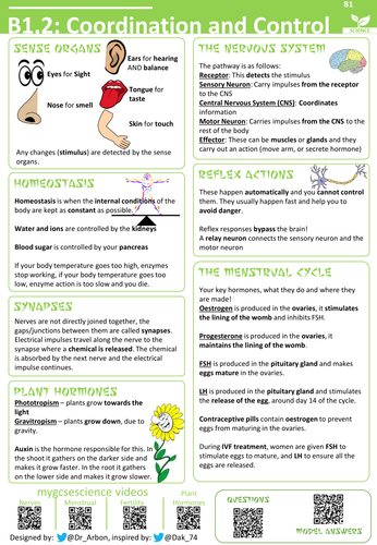 B1 AQA Learning Mats