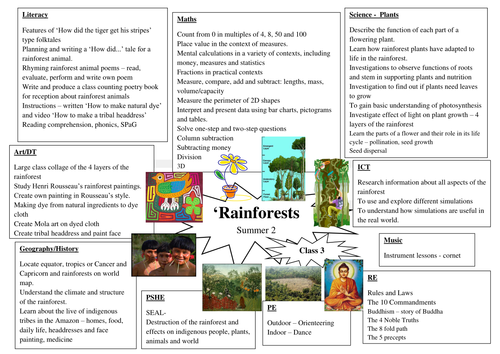 rainforest homework year 3
