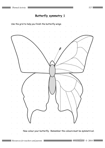 Butterfly Symmetry | Teaching Resources