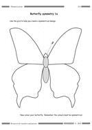 Butterfly Symmetry | Teaching Resources