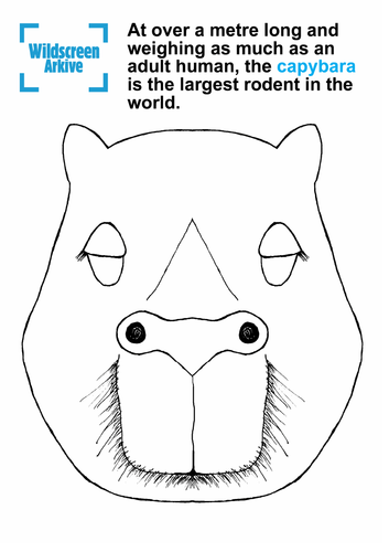 pdf, 604.58 KB