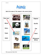 Basic animal worksheet for EAL beginners | Teaching Resources
