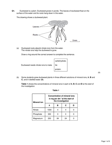 pdf, 316.6 KB