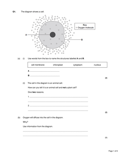 AQA B2 mini tests with mark schemes and ums | Teaching Resources