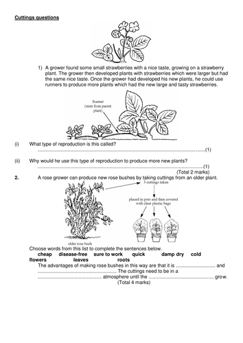 AQA B1 Cloning | Teaching Resources