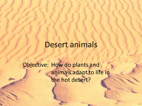 Desert animal and plant adaptations | Teaching Resources