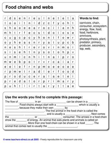 Food chains and webs word-search with CLOZE | Teaching Resources