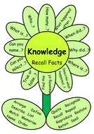 Differentiated Questioning in Bloom (Display) | Teaching Resources