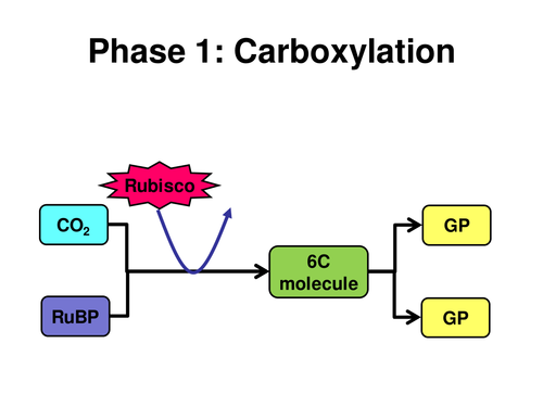 ppt, 73.5 KB