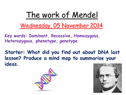 The work of Mendel | Teaching Resources
