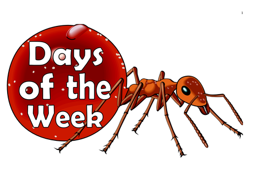 Ants Themed Months of the Year/Days of the Week