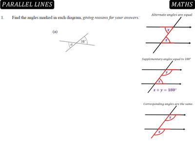 Molecular biology homework