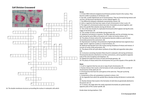 cell-division-crossword-teaching-resources