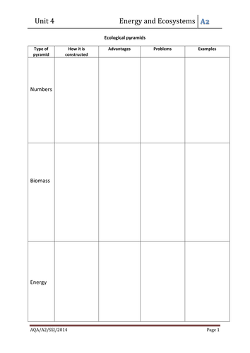 A2 Biology Ecological pyramids card sort | Teaching Resources