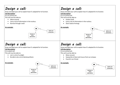 docx, 208.07 KB