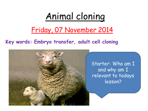 essay about cloning animals