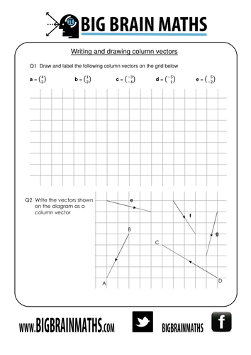 vectors worksheets teaching resources