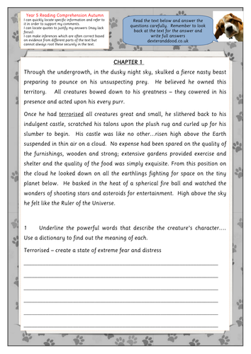 Year 5 reading comprehension worksheet by hilly100m 