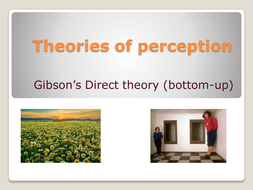 theory pptx