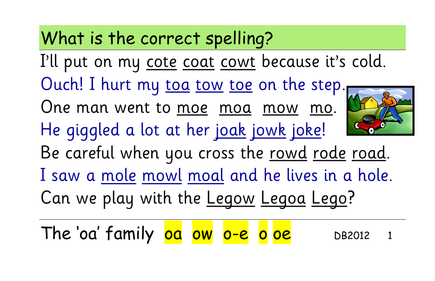 Phase-5_6-Sentence-Cards_oa-family_DB2015.pdf