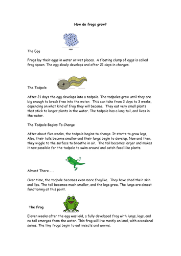 explanation texts teaching resources