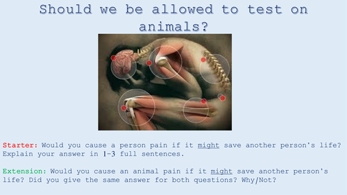 Animal Rights - Lesson 3 - animal testing | Teaching Resources